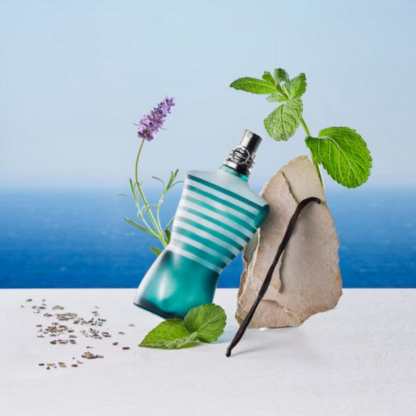 Jean Paul Le male EDT